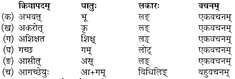 Class 10th Sanskrit Chapter 3