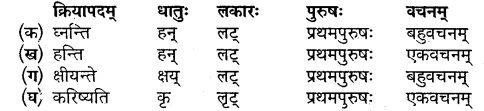 MP Board Class 10 Sanskrit Chapter 4 Solutions सुभाषितानि