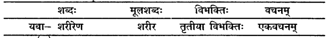 Class 10 Sanskrit Chapter 5 Solutions