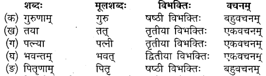 Class 10 Sanskrit Chapter 5 Mp Board