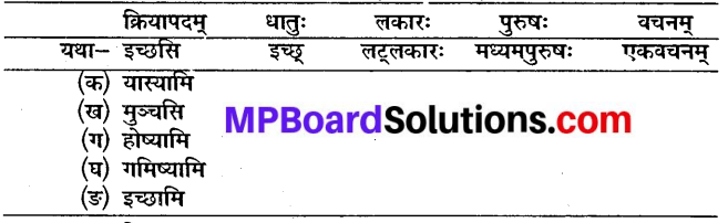 Sanskrit Chapter 5 Class 10
