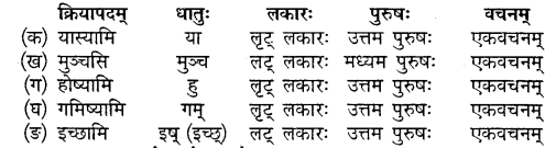 Sanskrit Class 10 Chapter 5 Pdf