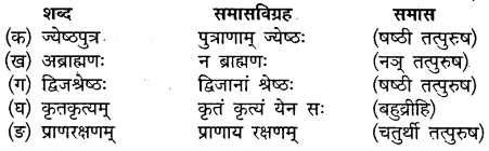 Class 10th Sanskrit Chapter 5 Question Answer