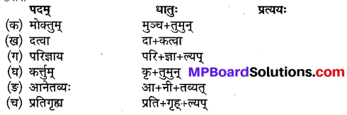 Sanskrit Class 10 Chapter 5 In Hindi