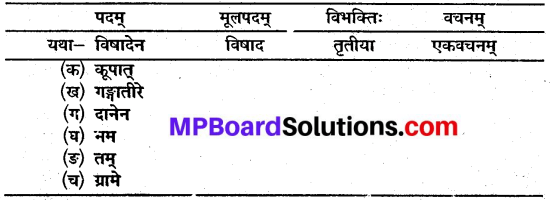 Class 10 Sanskrit Chapter 6 MP Board