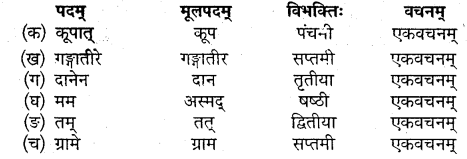 Mp Board Class 10 Sanskrit Chapter 6