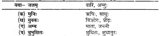 Class 10th Sanskrit Chapter 6 MP Board