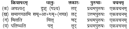 MP Board Class 10th Sanskrit Solutions Chapter 9 मदपरिणामः img 3