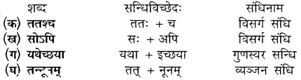 MP Board Class 10th Sanskrit Solutions Chapter 9 मदपरिणामः img 5
