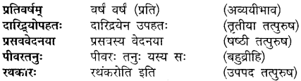 MP Board Class 10th Sanskrit Solutions Chapter 9 मदपरिणामः img 6