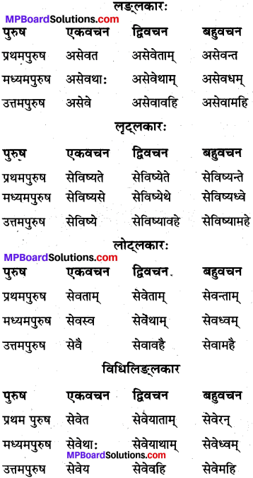 MP Board Class 10th Sanskrit व्याकरण धातु रूप-प्रकरण img 13