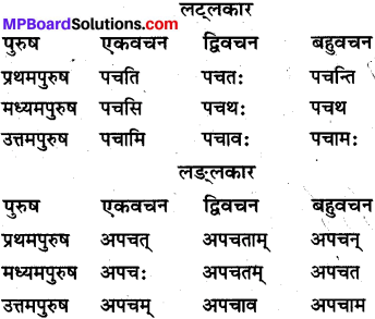 MP Board Class 10th Sanskrit व्याकरण धातु रूप-प्रकरण img 7