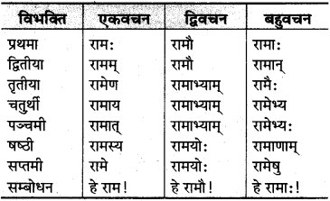 MP Board Class 10th Sanskrit व्याकरण शब्द रूप-प्रकरण img 1