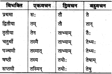 MP Board Class 10th Sanskrit व्याकरण शब्द रूप-प्रकरण img 19