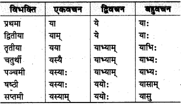 MP Board Class 10th Sanskrit व्याकरण शब्द रूप-प्रकरण img 29