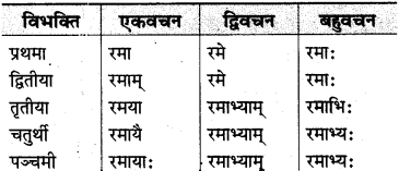MP Board Class 10th Sanskrit व्याकरण शब्द रूप-प्रकरण img 8
