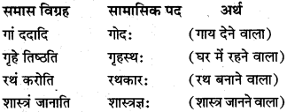 Class 10th Sanskrit Samas MP Board 
