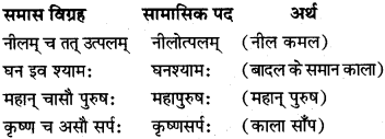 समास विग्रह कीजिए Class 10 Sanskrit MP Board
