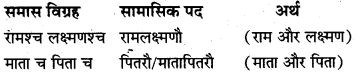 Samas In Sanskrit Class 10 Pdf MP Board