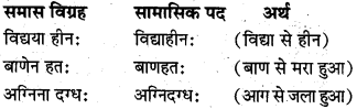 Samas Sanskrit Class 10 MP Board