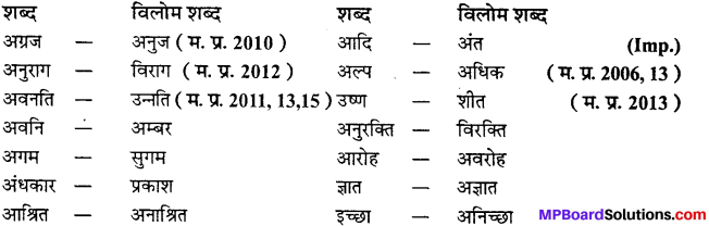 MP Board Class 11th Samanya Hindi व्याकरण, भाषा बोध Important Questions 22
