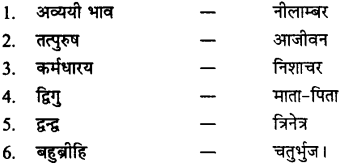 MP Board Class 11th Samanya Hindi व्याकरण, भाषा बोध Important Questions 32