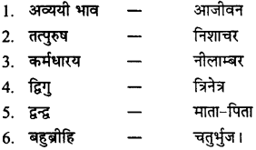MP Board Class 11th Samanya Hindi व्याकरण, भाषा बोध Important Questions 33