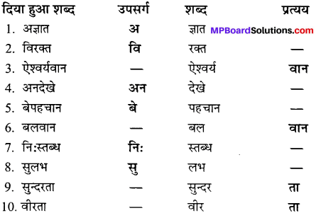 MP Board Class 11th Samanya Hindi व्याकरण, भाषा बोध Important Questions 7