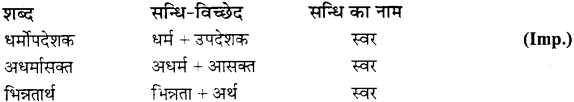 MP Board Class 11th Samanya Hindi व्याकरण, भाषा बोध Important Questions 9