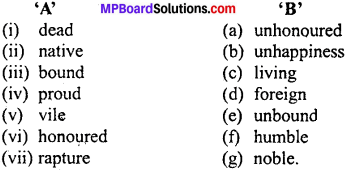 MP Board Class 11th Special English Vocabulary Exercises Important Questions 1