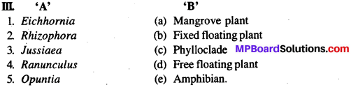 MP Board Class 12th Biology Solutions Chapter 13 Organisms And Population 13