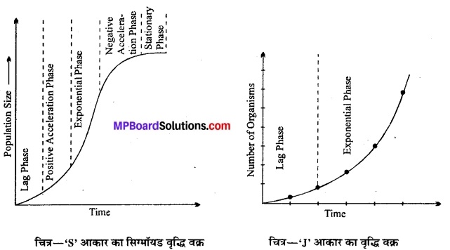 MP Board Class 12th Biology Solutions Chapter 13 जीव और समष्टियाँ 11
