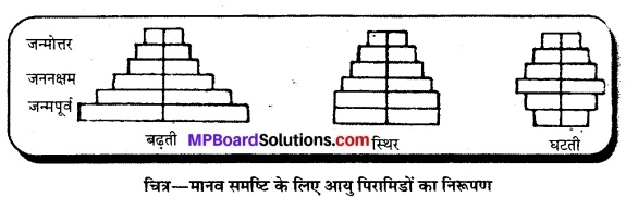 MP Board Class 12th Biology Solutions Chapter 13 जीव और समष्टियाँ 7