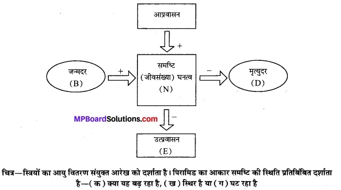MP Board Class 12th Biology Solutions Chapter 13 जीव और समष्टियाँ 8