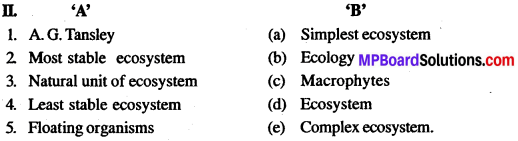 MP Board Class 12th Biology Solutions Chapter 14 Ecosystem 10
