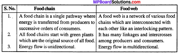 MP Board Class 12th Biology Solutions Chapter 14 Ecosystem 11