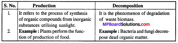 MP Board Class 12th Biology Solutions Chapter 14 Ecosystem 2