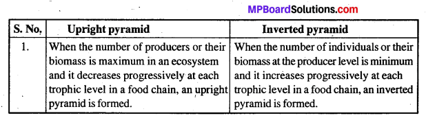 MP Board Class 12th Biology Solutions Chapter 14 Ecosystem 3