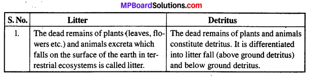 MP Board Class 12th Biology Solutions Chapter 14 Ecosystem 5