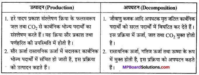 MP Board Class 12th Biology Solutions Chapter 14 पारितंत्र 3