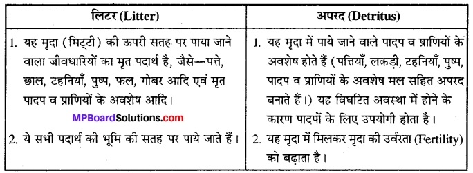 MP Board Class 12th Biology Solutions Chapter 14 पारितंत्र 6
