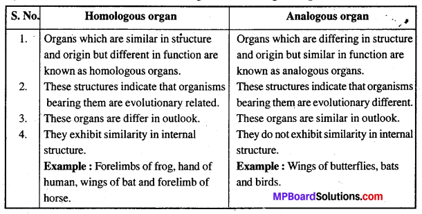 MP Board Class 12th Biology Solutions Chapter 7 Evolution 9