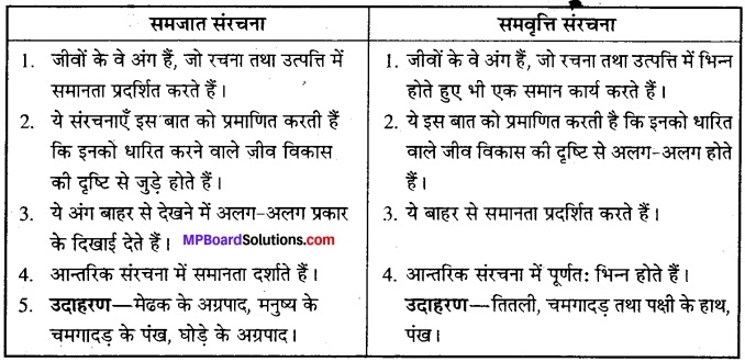 MP Board Class 12th Biology Solutions Chapter 7 विकास 10