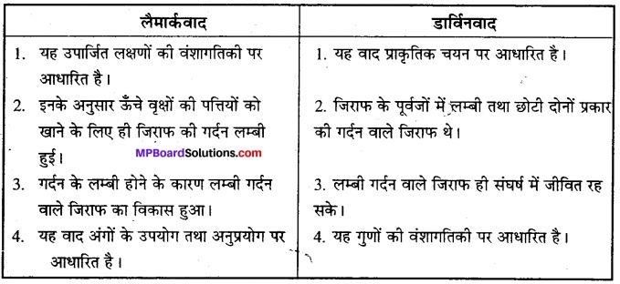 MP Board Class 12th Biology Solutions Chapter 7 विकास 11