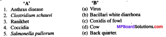 MP Board Class 12th Biology Solutions Chapter 9 Strategies for Enhancement in Food Production 1