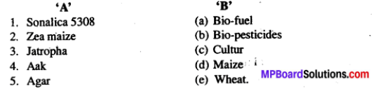 MP Board Class 12th Biology Solutions Chapter 9 Strategies for Enhancement in Food Production 3