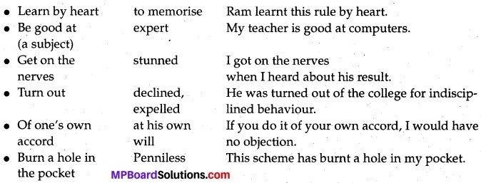 MP Board Class 12th English A Voyage Solutions Chapter 14 Albert-Einstein at School img 2