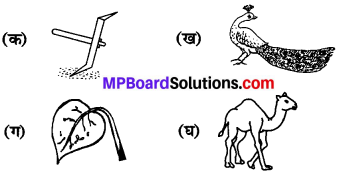 MP Board Class 6th Sanskrit Model Question Paper 3