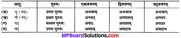 Mp Board Class 6 Sanskrit Chapter 12