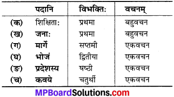 Class 6 Chapter 16 Sanskrit MP Board